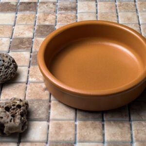 Maceta de terracota de 20 cm con agujero de drenaje y plato sobre fondo neutro